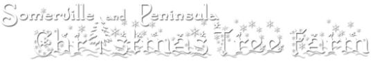 All Paws Pet Grooming